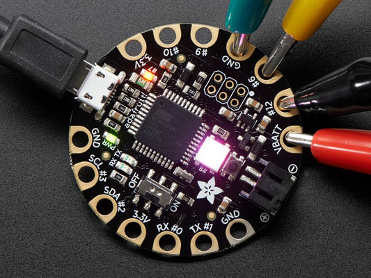 Adafruit Flora image 0