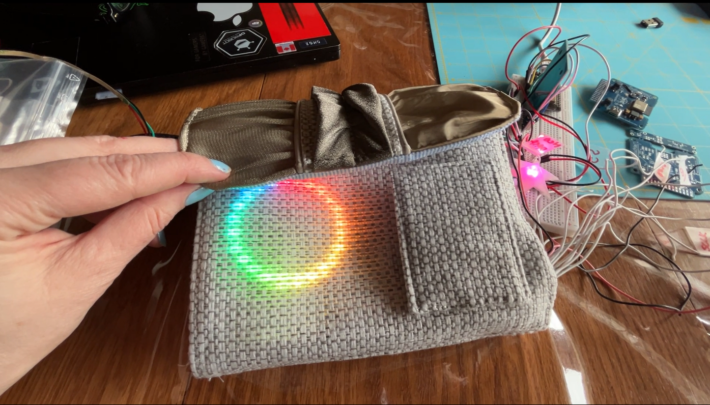 electronic handbag