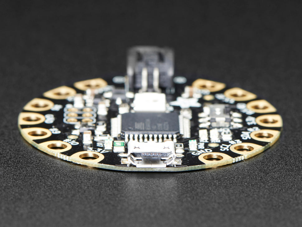 Adafruit Flora image 2